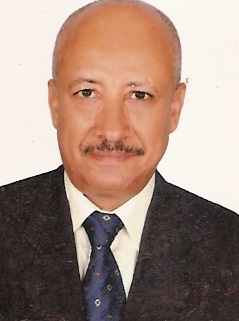 محمد سيف ناجي