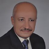 محمد سيف الحسني