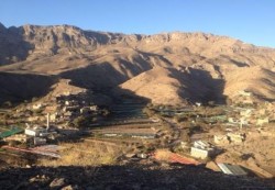نجاة مدير امن الضالع ومرافقيه من محاولة اغتيال
