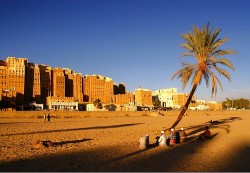 ضبط جماعة إرهابية كانت تحضر لعمليات إرهابية في جنوب اليمن