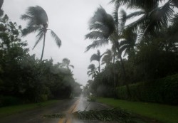 72 ضحية حصيلة الإعصار ايرما في فلوريدا