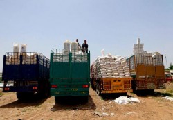 اب: اتهامات للحوثيين بحجز  4 شاحنات تحمل مئات المواد الطبية والادوية 