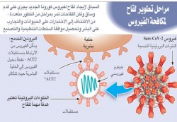 إنفوغرافيك... مراحل تطوير لقاح لمكافحة فيروس «كورونا»