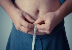مخاطر الدهون الحشوية على الأعضاء الداخلية للجسم
