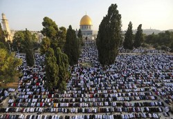 الأردن يطالب بالحفاظ على التهدئة في الأراضي الفلسطينية المحتلة