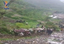 وفاة 8 مواطنين جراء الأمطار والسيول في محافظة حجة
