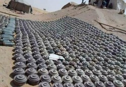 “مسام” ينتزع 558 لغمًا خلال أسبوع في عدة محافظات يمنية