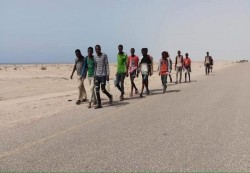 الهجرة الدولية: ارتفاع كبير في أعداد المهاجرين غير الشرعيين إلى اليمن رغم الحرب
