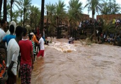 تقرير اممي يُحصي بالأرقام ضحايا وآثار فيضانات اليمن خلال الشهرين الماضيين
