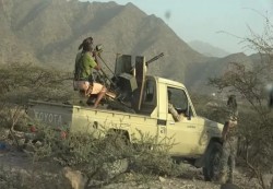 القوات المشتركة تخوض مواجهات عنيفة مع جماعة الحوثي غربي تعز