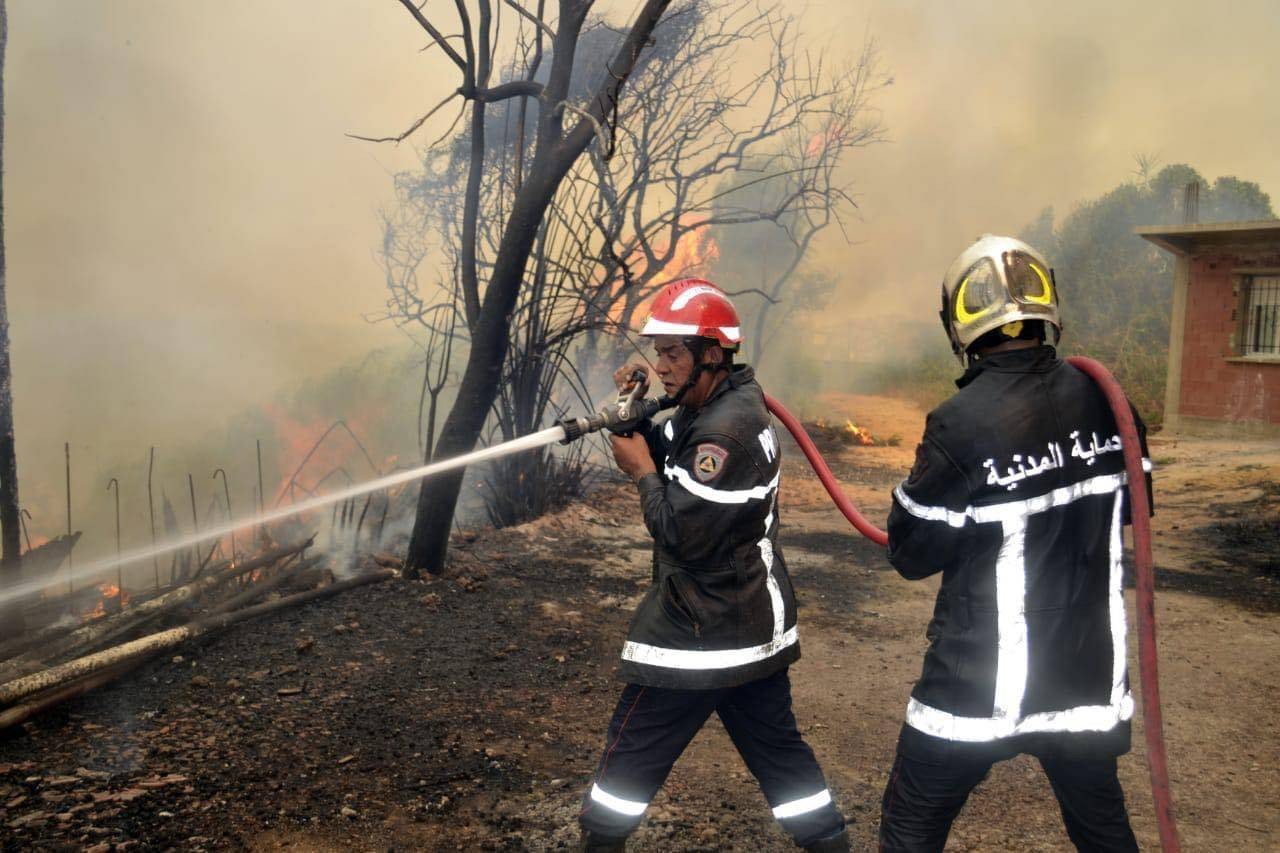 تجدد الحرائق في غابات شرق الجزائر