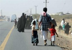 منظمة الهجرة الدولية: نزوح 35 أسرة يمنية منذ بداية اكتوبر الجاري