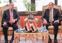 الحكومة الشرعية ترحب بتنظيم شركات الطيران المصرية رحلات إلى اليمن