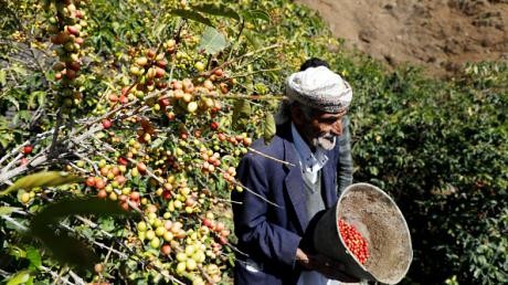 الزراعة اليمنية أمام أزمة إغلاق منفذ الطوال: ضربة للصادرات