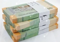 عدن: قرار حكومي يلزم الأسواق باستخدام الريال اليمني ويحظر العملات الأجنبية