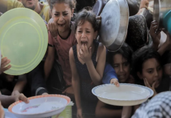 غزة: ارتفاع ضحايا التجويع الإسرائيلي إلى 271 بينهم 112 طفلاً