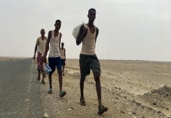 ضبط شبكات تهريب مهاجرين أفارقة وعمليات أمنية في المهرة وأبين وشبوة
