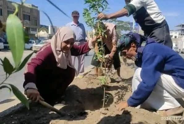 تعز: مبادرة شبابية لزراعة خمسة آلاف شجرة تخليدًا لذكرى افتهان المشهري
