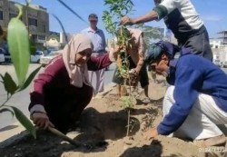تعز: مبادرة شبابية لزراعة خمسة آلاف شجرة تخليدًا لذكرى افتهان المشهري