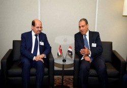 الملاحة في البحر الأحمر تتصدر مباحثات وزير الخارجية مع نظيره المصري