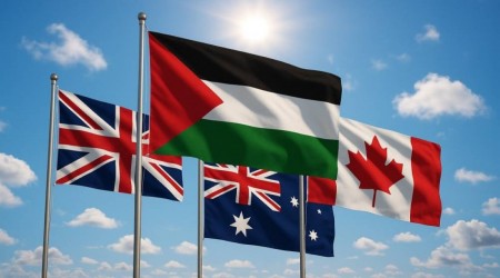 Arabic and International