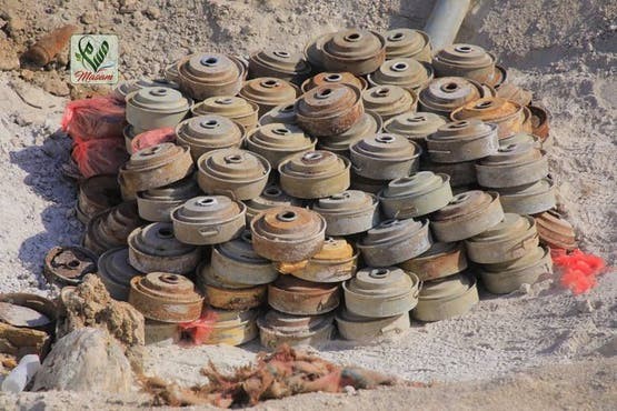 "مسام" يتلف كميات من الألغام في مأرب ويؤمّن حقلاً جديداً بحجة