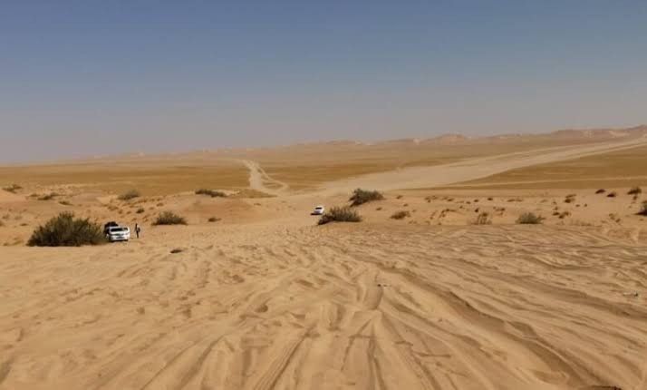 الجوف: تحذيرات من تجنيد الحوثيين للنساء والأطفال في شبكات تهريب المخدرات