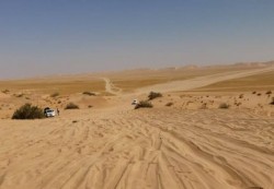 الجوف: تحذيرات من تجنيد الحوثيين للنساء والأطفال في شبكات تهريب المخدرات