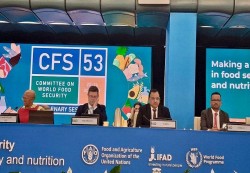 اليمن تؤكد التزامها بتحقيق الأمن الغذائي والتحوّل من الإغاثة إلى التنمية