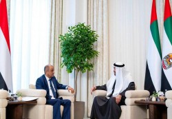 الرئيس الإماراتي يستقبل بن بريك لبحث جهود الإصلاحات والتهديدات الأمنية