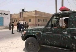 الأجهزة الأمنية تضبط مهربي مخدرات وتُحبط عمليات تزوير في ثلاث محافظات يمنية