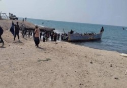 شبوة: وصول أكثر من 250 مهاجرًا إفريقيًا إلى سواحل رضوم