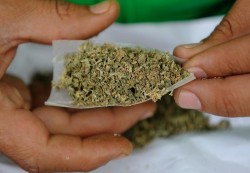 شبوة: العثور على كمية من الحشيش المخدر بساحل بئر علي