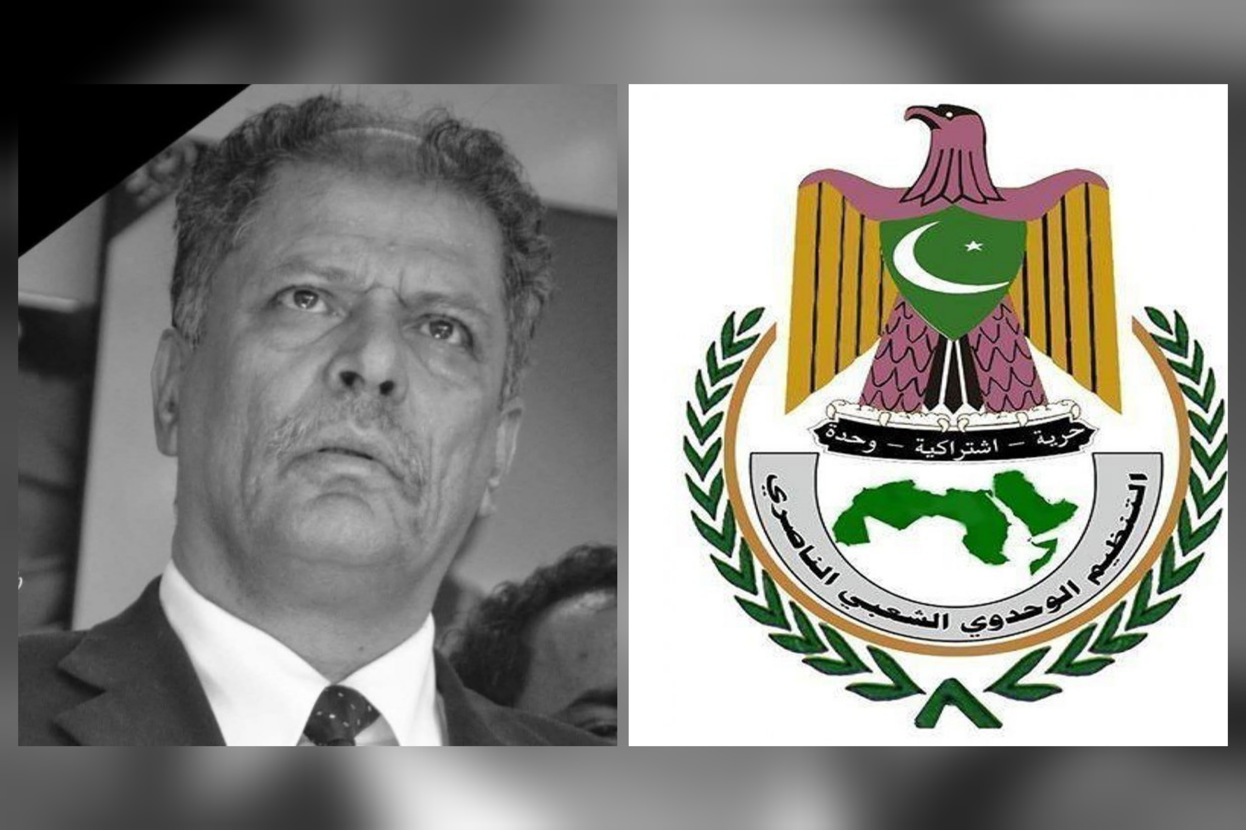 الأمانة العامة للتنظيم الناصري تعزّي الدكتور محمود جمال بوفاة شقيقه