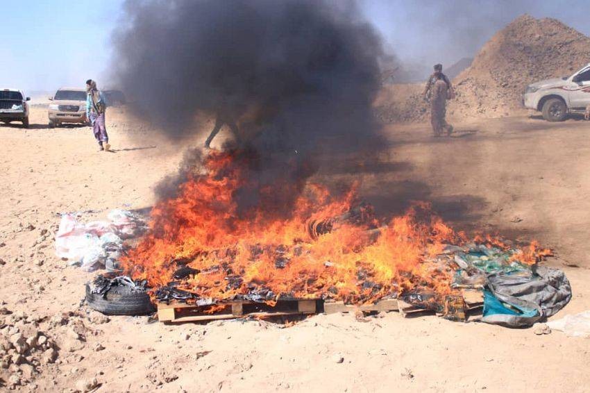 مأرب: إتلاف 327 كيلو جرام من الحشيش