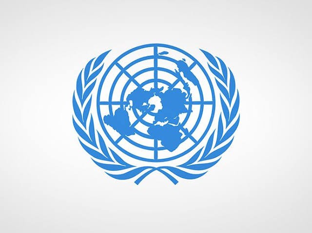 الأمم المتحدة ترحب بدعوة العليمي لعقد مؤتمر حوار جنوبي في السعودية