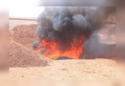 إتلاف كميات كبيرة من المخدرات المضبوطة في منفذ الوديعة