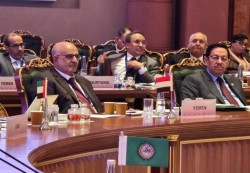 المنتدى العربي - الهندي يجدد دعمه لوحدة وسيادة اليمن