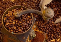 عدن تحتضن المعرض الوطني للبن والتمر مطلع مارس المقبل
