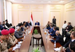 العليمي: الضالع في قلب معركة استعادة الدولة