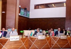 القاهرة: الدول العربية تبحث إنشاء صندوق لدعم المشاريع التنموية  في اليمن