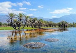 سقطرى: إطلاق مبادرة لتحسين المشهد الحضري في الأرخبيل