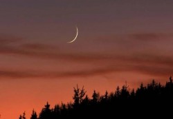 الأوقاف تعلن الجمعة أول أيام عيد الفطر والخميس متمم رمضان
