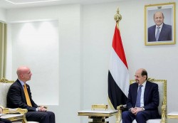 الزنداني يبحث مع صندوق الأمم المتحدة للسكان دعم الصحة الإنجابية وحماية النساء في اليمن