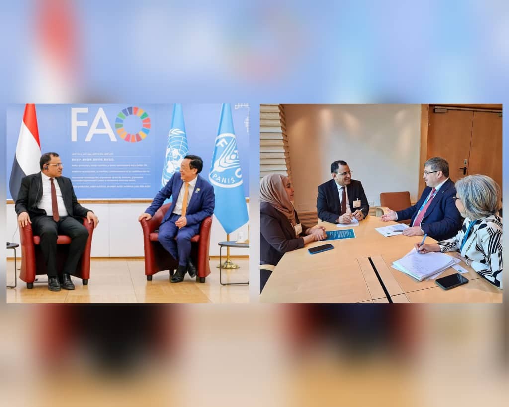 الفاو: الأمن الغذائي في اليمن أولوية.. وندعو إلى شراكات أوسع للتنمية المستدامة