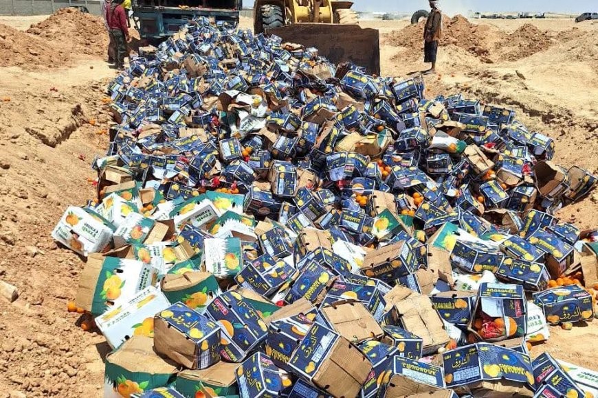 المهرة: إتلاف 2864 كرتون برتقال غير صالح للاستهلاك في منفذ شحن