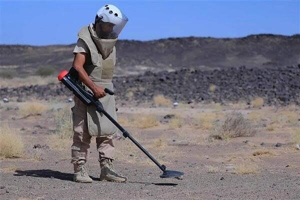 مشروع مسام يتلف آلاف الألغام والمخلفات الحربية في حضرموت وتعز