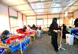 الملاريا في اليمن.. أرقام مقلقة وتحذيرات من تفاقم الوضع الصحي