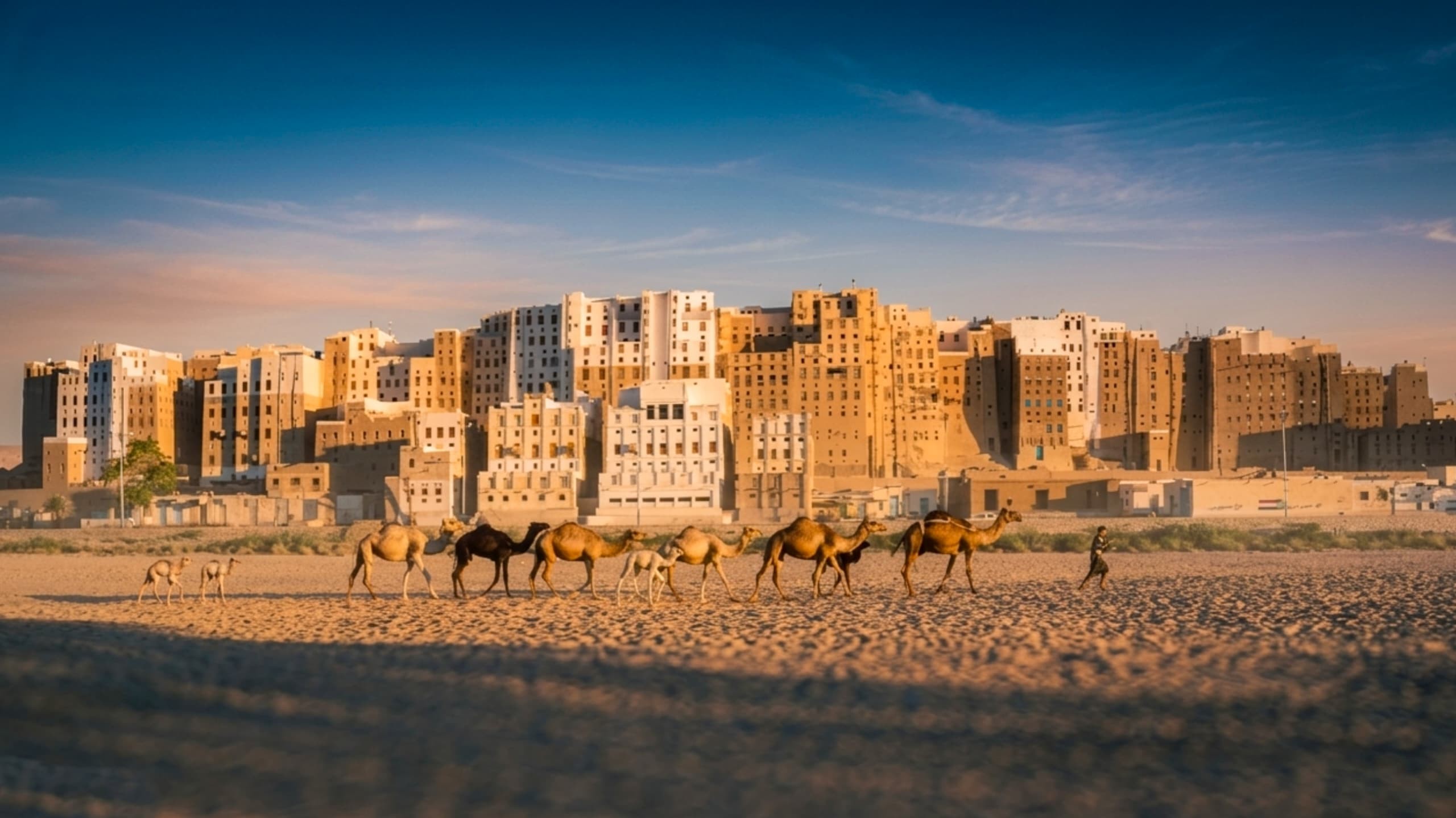 اليونسكو تعلن ترميم أكثر من 900 مبنى تاريخي في اليمن