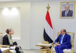الزنداني يبحث مع السفيرة الهولندية دعم القطاعات الحيوية في اليمن